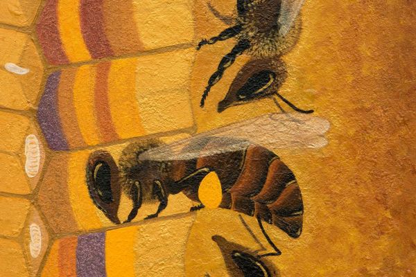 Pollen Power