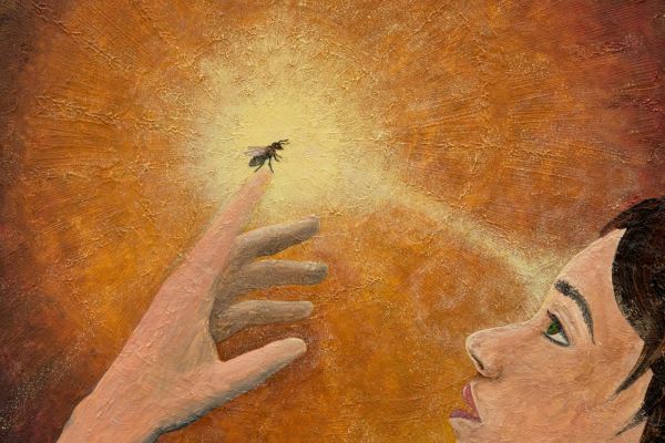 Venom Ceremony and Propolis Medicine Potentisation