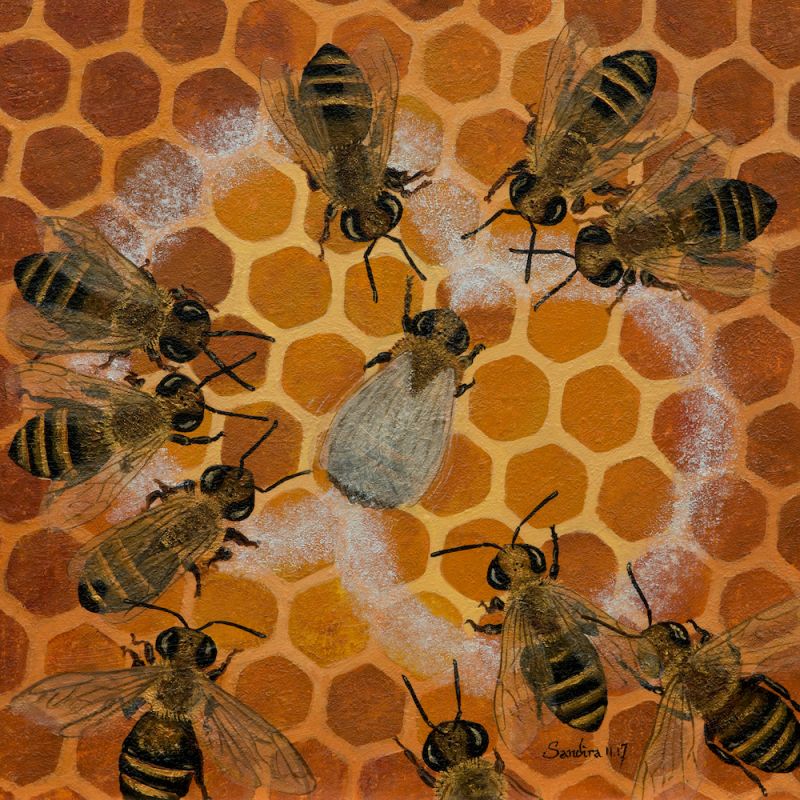 The waggle dance of the bee