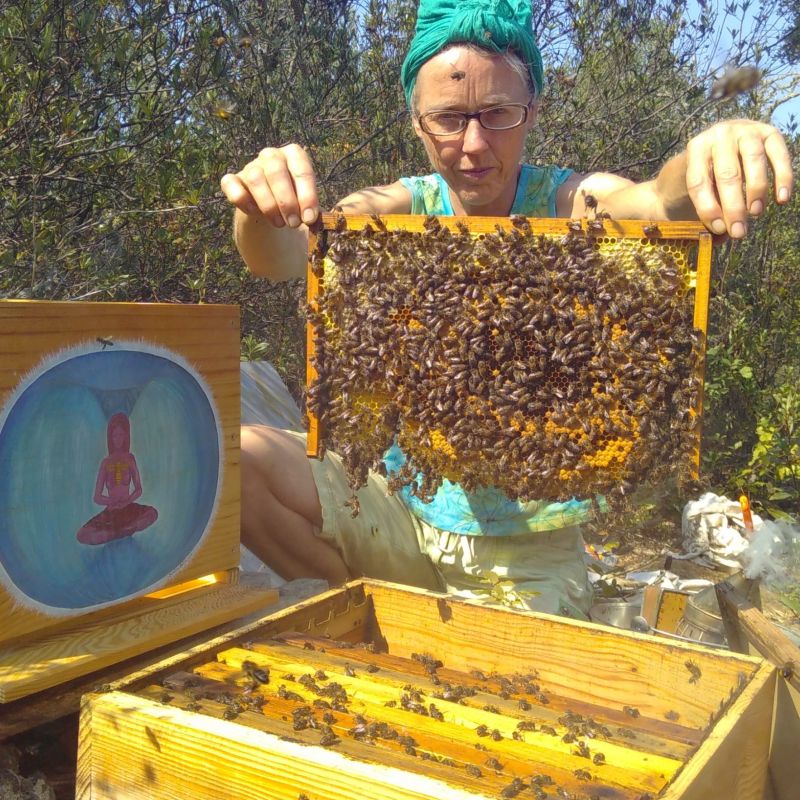 The Bee, a Mirror of Our Inner State