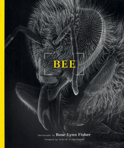 Livre | BEE