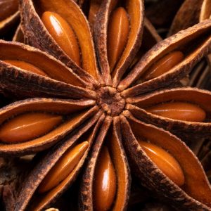 Accompagnement Individuel - Coaching de l'Intuition