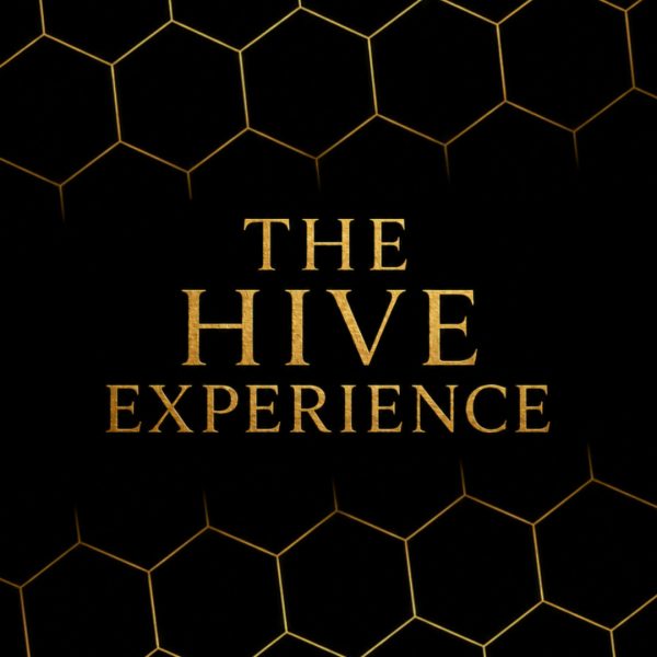 Course — The Hive Experience - 6-week Live Online Journey