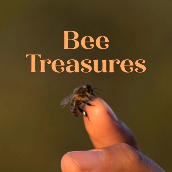 Course — Bee Treasures — 7 Video Lessons + Handbook