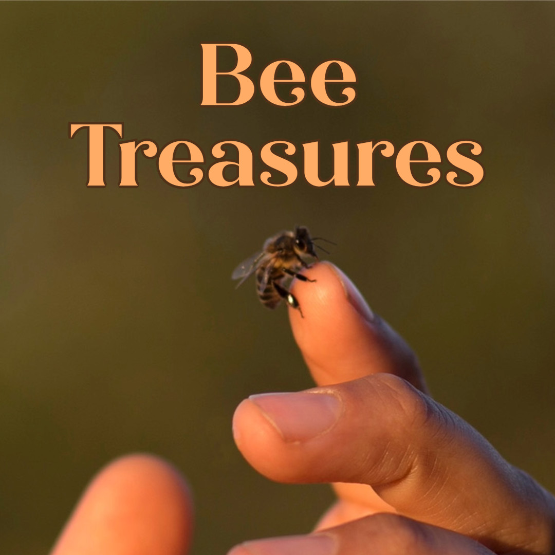 Course — Bee Treasures — Self-Paced