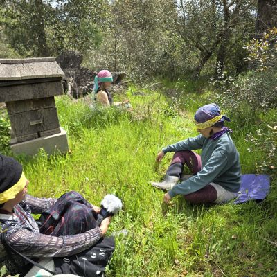 Two spots left for the Autumn BeeShip in South Portugal