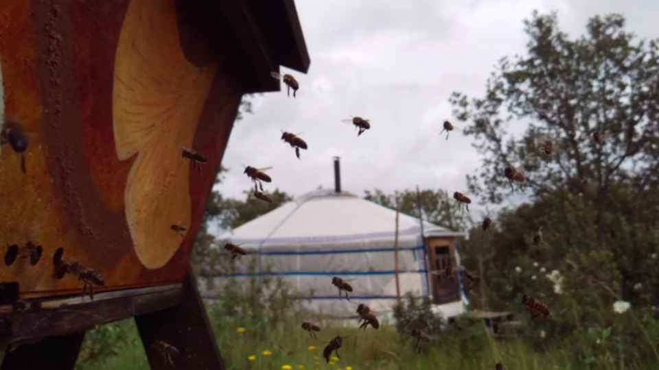 Bee Happy