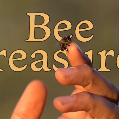 On-demand Online Course