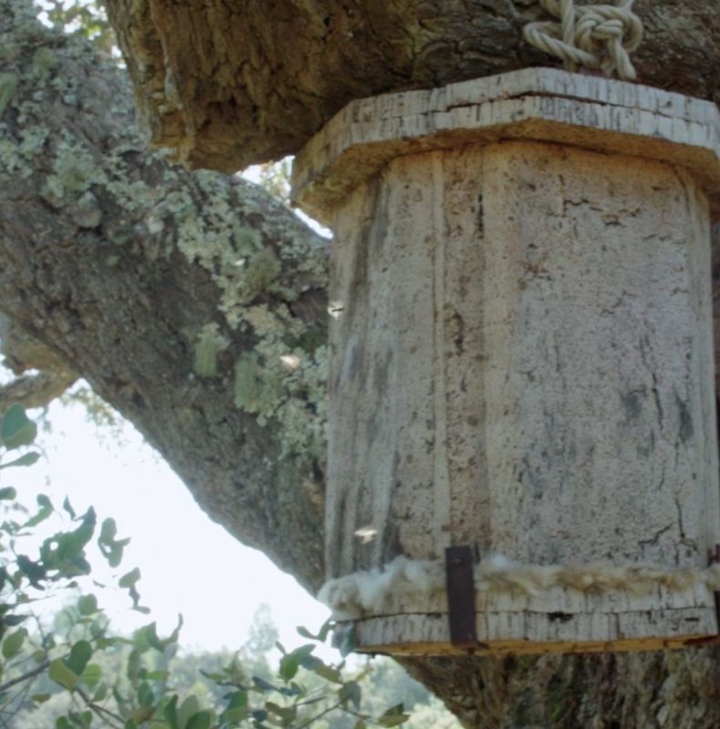 Creating Bee Homes that Support Bees to Take Care of Themselves