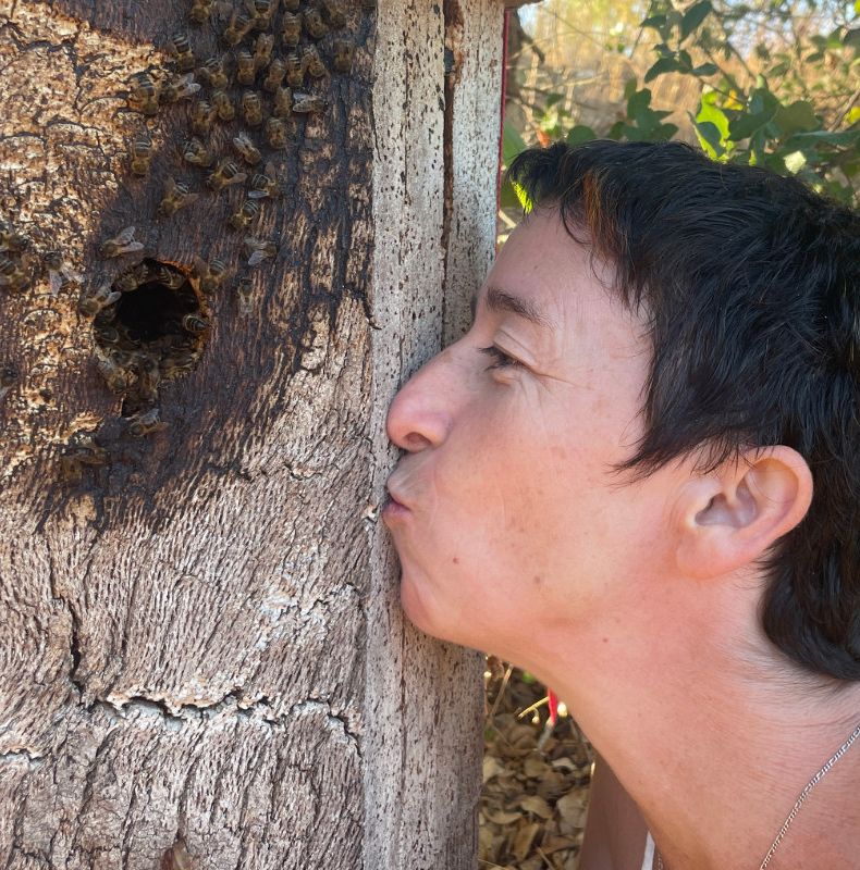 The Bee as Friend, the Bee as Ally