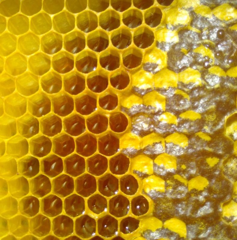 La Magie de l'Hexagone