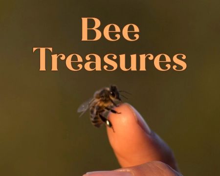 Course — Bee Treasures — 7 Video Lessons + Handbook