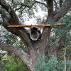 Workshop: Making a Horizontal Cork Hive