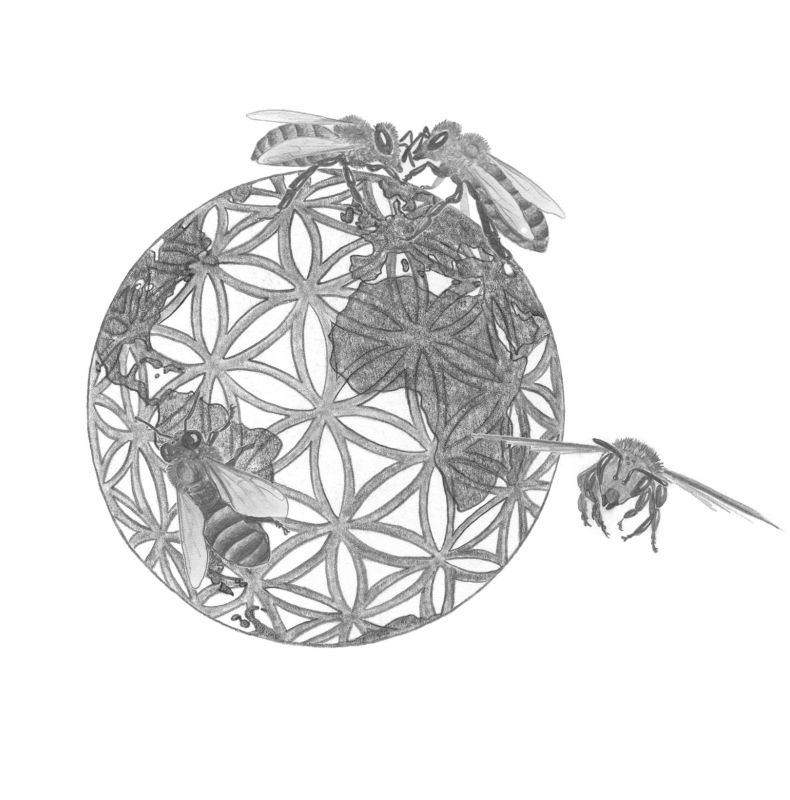 Collective Explorations