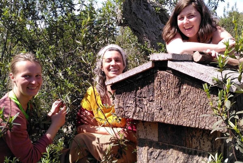 Last Call for our 16-day Spring BeeShip 2025