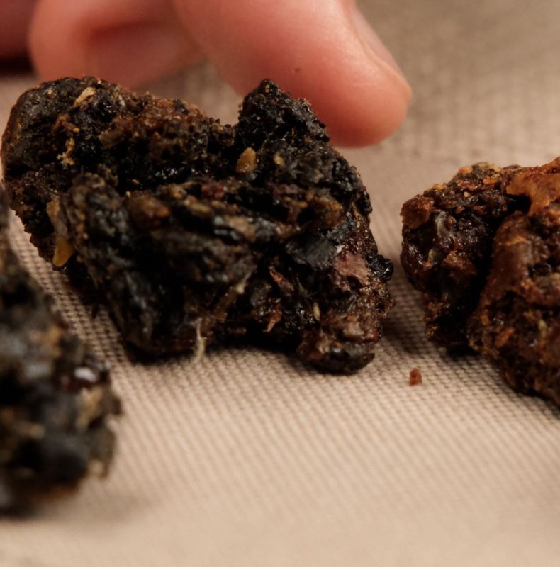 Connecting with Propolis Wisdom
