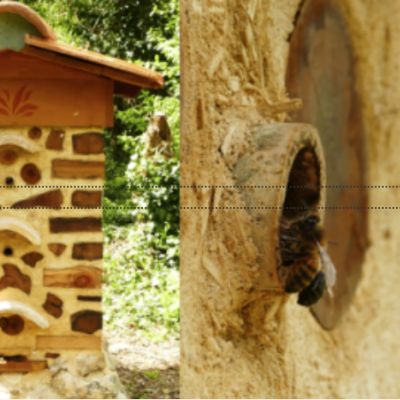 Le Jardin des Petites Ruches