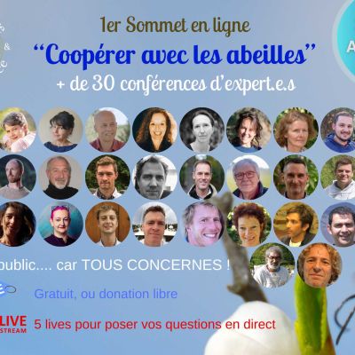 Interview – Sommet Apiculture et Conscience
