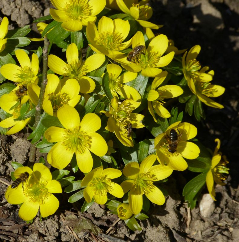 Jutta – Heilderberg – Allemagne
