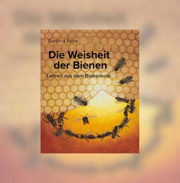 Die Weisheit der Bienen – Buch