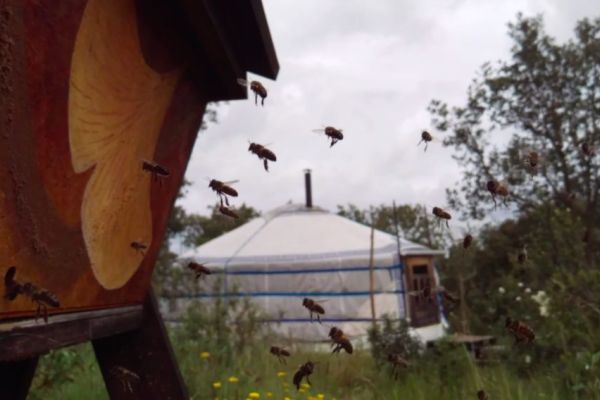 Bee Happy