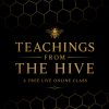 Teachings from the Hive