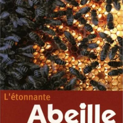 Livre | L’Étonnante Abeille