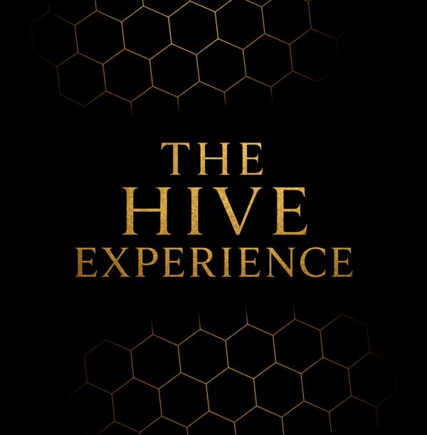 The Hive Experience