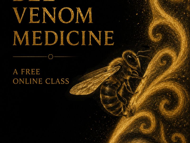 Bee Venom Medicine