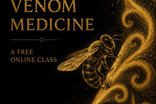 Bee Venom Medicine