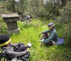Two spots left for the Autumn BeeShip in South Portugal