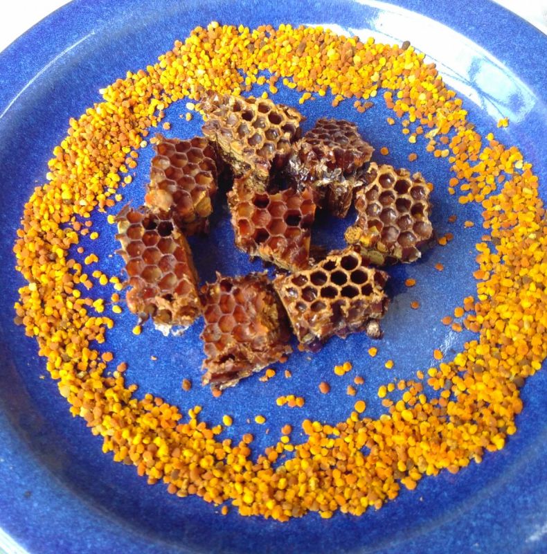 Pollen Bread