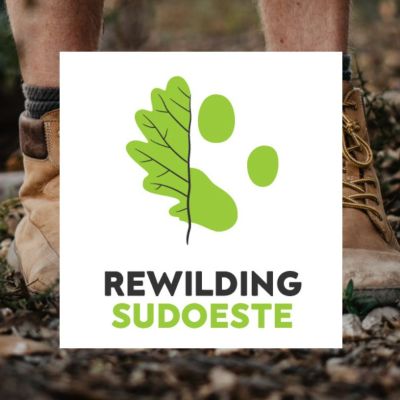 Rewilding Sudoeste