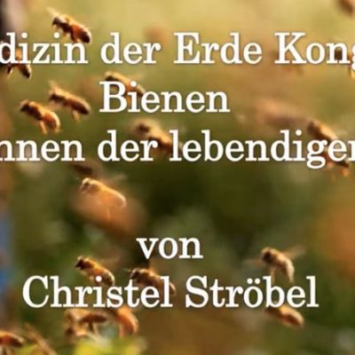 Listen to an interview in German with Annelieke