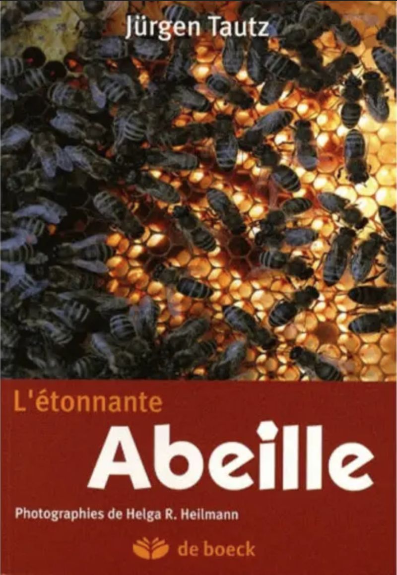 Livre | L’Étonnante Abeille