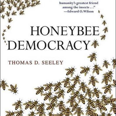 Book | Honeybee Democracy