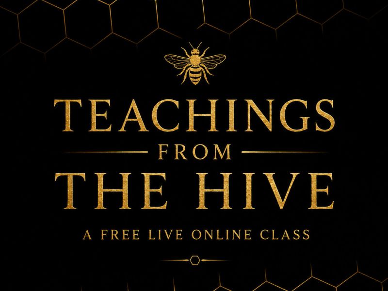 Teachings from the Hive