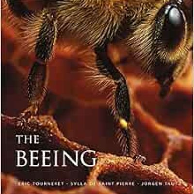 Book | The Beeing: Life Inside a Honeybee Colony