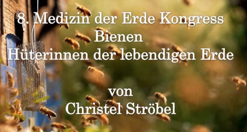 Listen to an interview in German with Annelieke