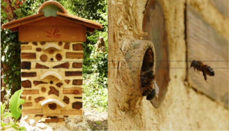 Le Jardin des Petites Ruches