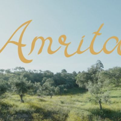 AMRITA – Bee Documentary in the making