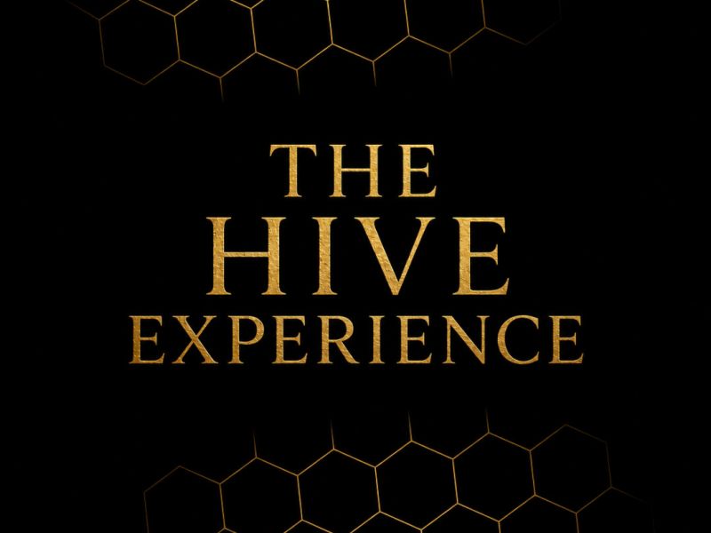 The Hive Experience