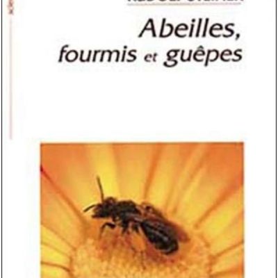 Livre | Abeilles, Fourmis et Guêpes