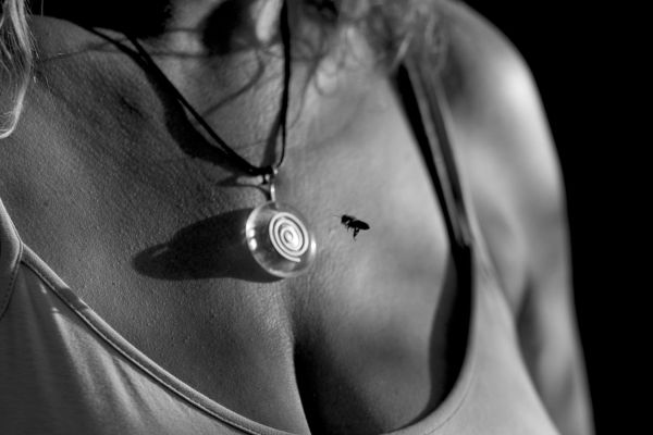 Bees Healing Us