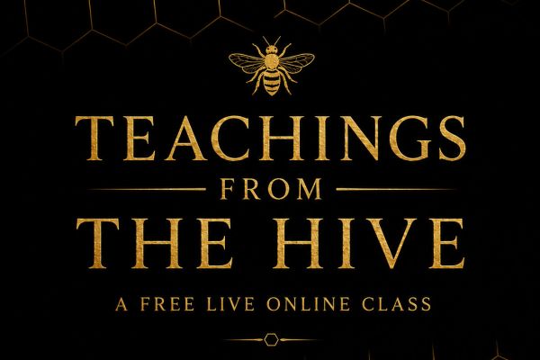 Teachings from the Hive