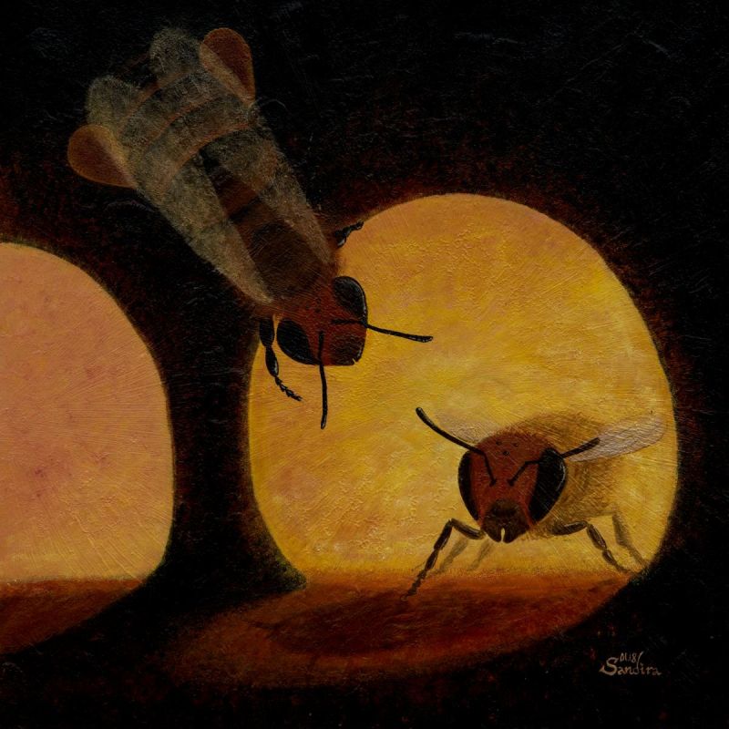 The Propolis Envelope