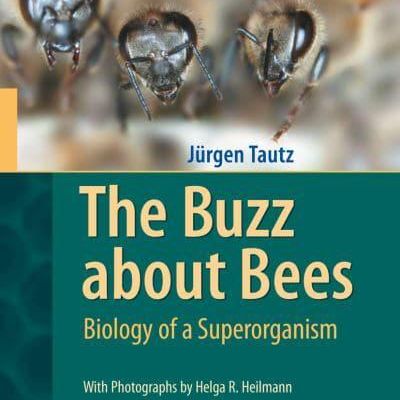 Book | The Buzz About Bees: Biology of a Superorganism