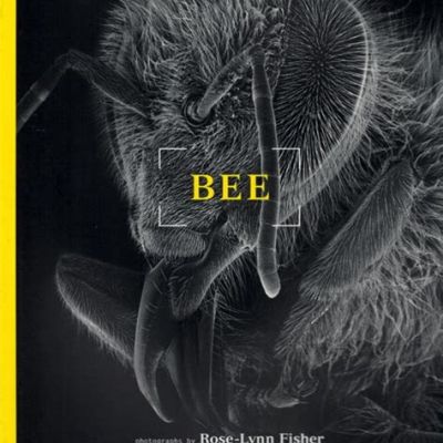 Book | BEE