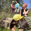 Spring BeeShip April 2026