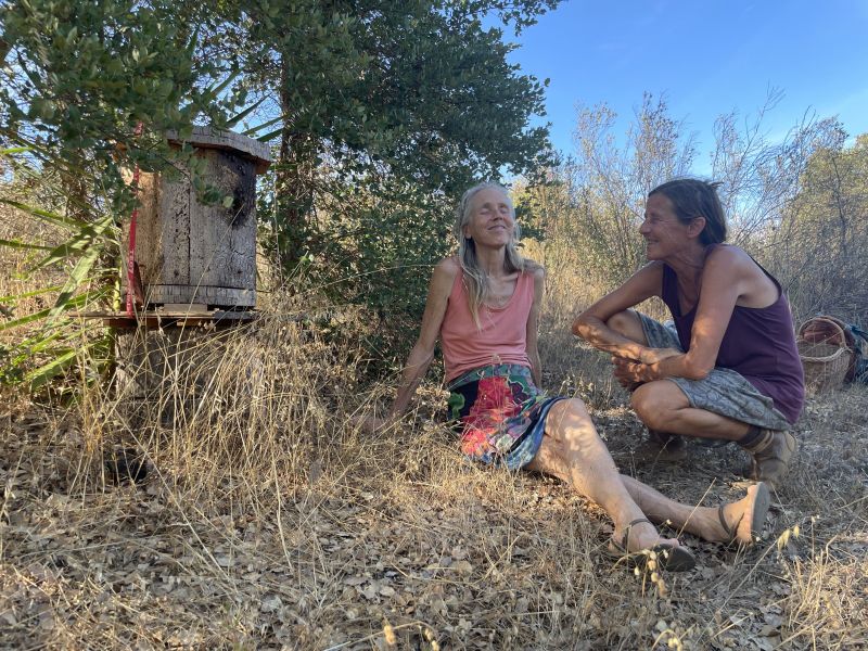 Hive Alchemy